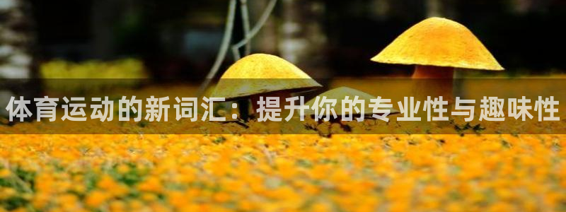 MK体育官网下载招商电话号码查询：体育运动的新词汇：