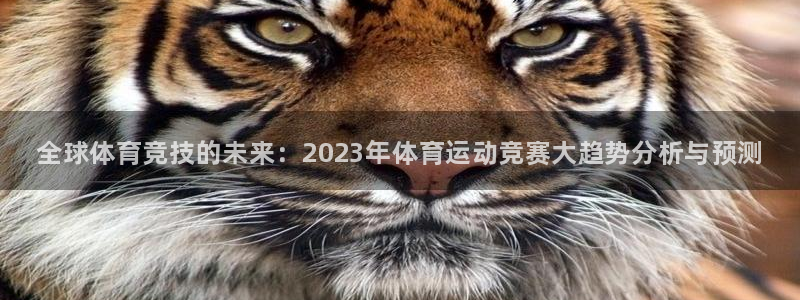 MK体育官网下载平台注册：全球体育竞技的未来：202