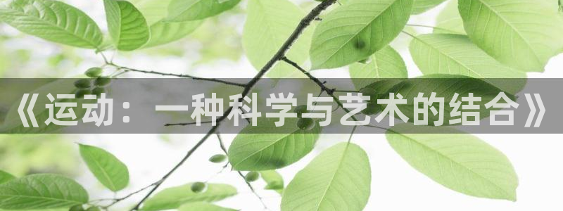 海南MK体育官网下载发展怎么样：《运动：一种科学与艺