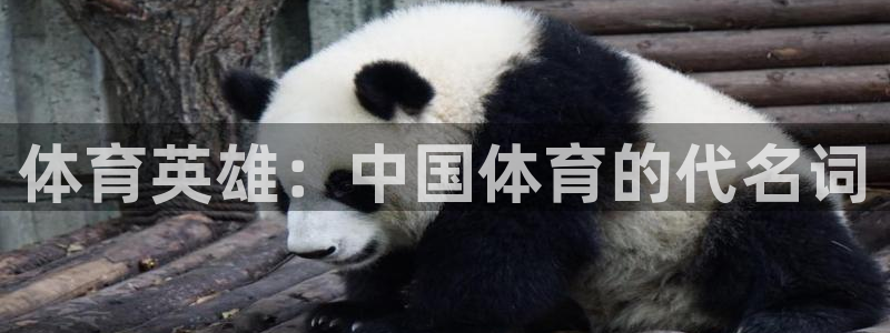 MK体育官方正版app娱乐平台：体育英雄：中国体育的代名词