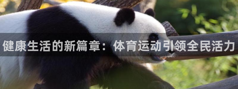MK体育官方正版app集团官网网址：健康生活的新篇章