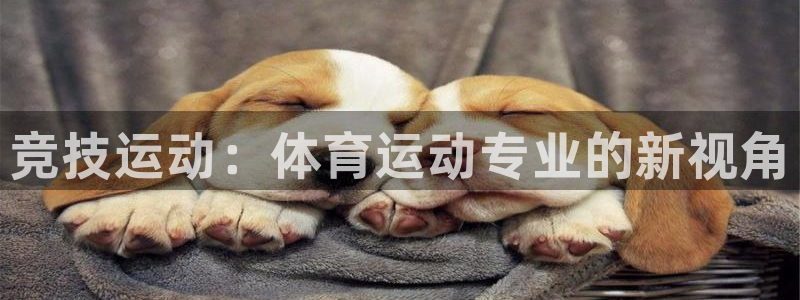 MK体育官网下载招商电话号码查询是多少：竞技运动：体