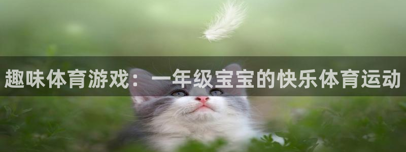 MK体育官网下载联系电话：趣味体育游戏：一年级宝宝的