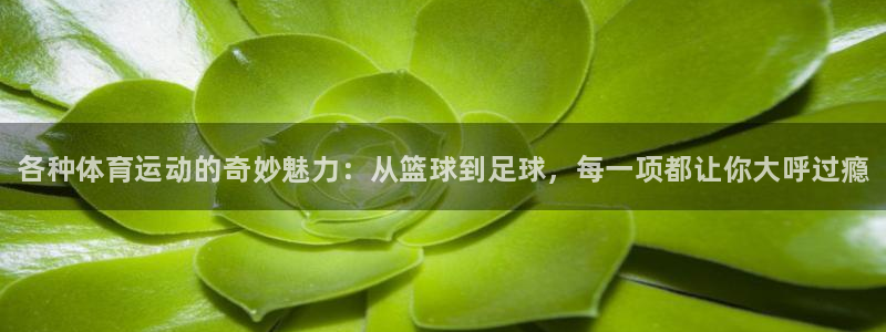 MK体育官网下载平台注册要钱吗：各种体育运动的奇妙魅力：从篮