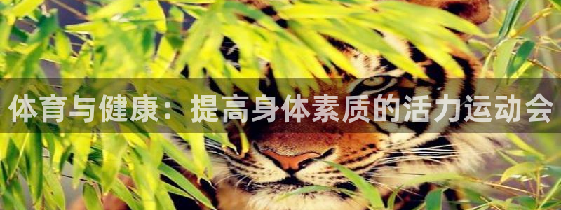 MK体育官方正版app代理：体育与健康：提高身体素质