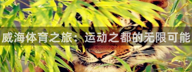 MK体育官方正版app官网：威海体育之旅：运动之都的无限可能