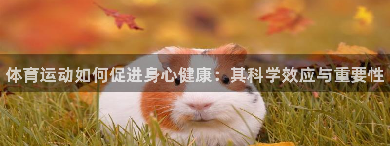 MK体育官方正版app娱乐首页官网下载