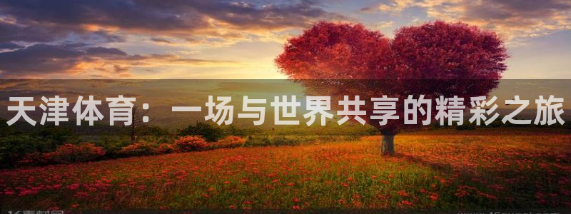 MK体育官方正版app科技
