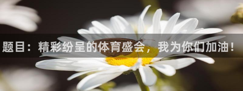 MK体育官网下载是干嘛的公司：题目：精彩纷呈的体育盛会，我为