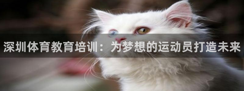 MK体育官网下载招商电话是多少啊