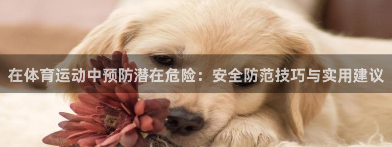 MK体育官网下载平台注册流程图：在体育运动中预防潜在危险：安