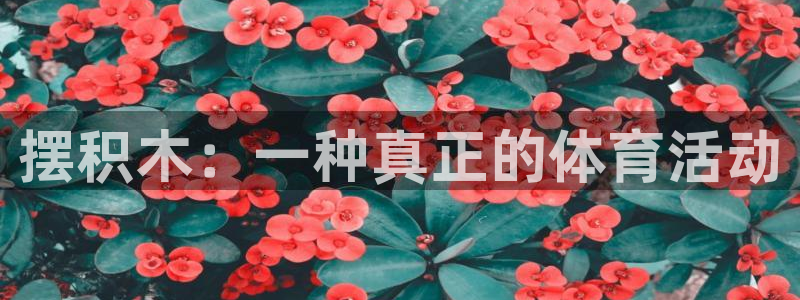 MK体育官网下载招商电话号码查询：摆积木：一种真正的体育活动
