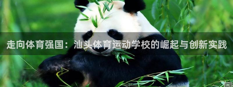 MK体育官网下载娱乐：走向体育强国：汕头体育运动学校的崛起与