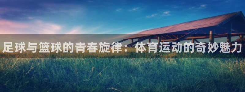 MK体育官网下载平台注册要钱吗是真的吗：足球与篮球的