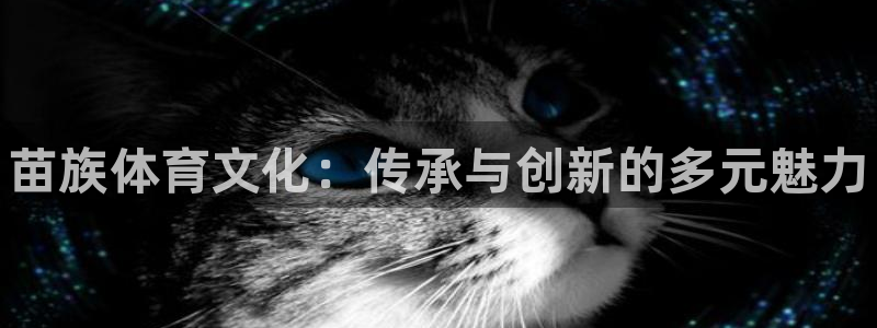 MK体育官网下载招商：苗族体育文化：传承与创新的多元魅力