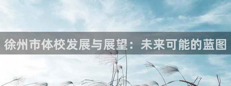 MK体育官方正版app娱乐网站：徐州市体校发展与展望：未来可